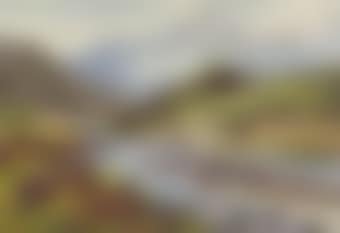A covey of partridge above the Tarn (preview)
