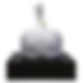 Antropologie Van Een Planeet (Marmeren Denkmodel/Studie 2) Antroplogy Of a Planet (Marble Thinking Model/ Study 2) (preview)