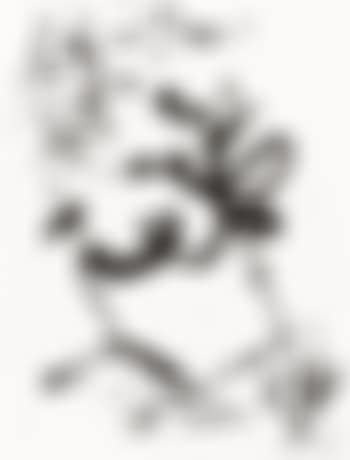 Untitled (preview)