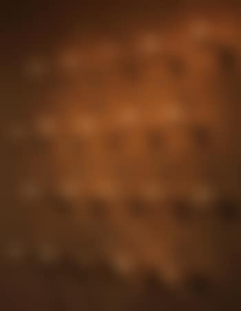 Shadows From The Lessons Of Darkness (preview)
