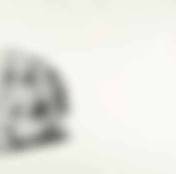 Bush Drawing (preview)