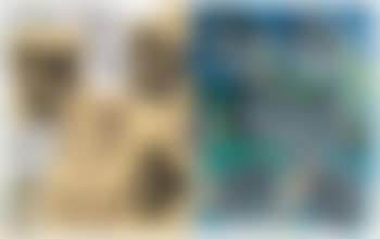 Untitled [Two Works] (preview)