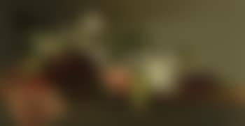 Porcelain with wild roses and peach (preview)