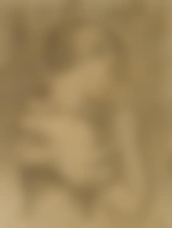Femme se coiffant (preview)