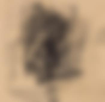 Lesender (preview)