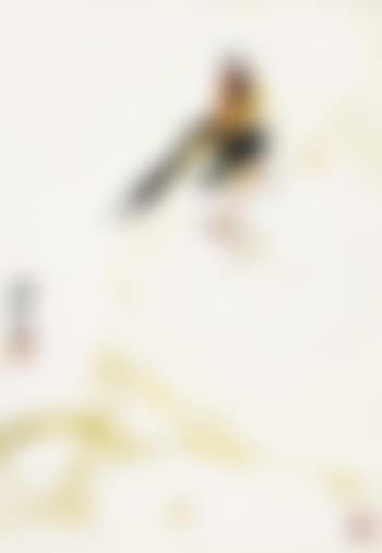 Yellowbird and grass (preview)