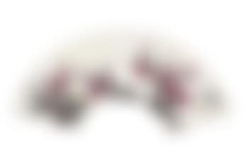 Plum blossoms (preview)