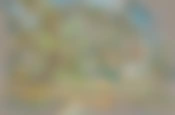 Olive Trees, Corfu (preview)