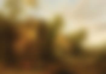 Village Scene With Peasants (preview)