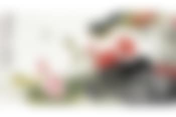 Lotus (preview)