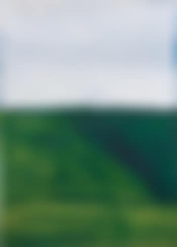 Buttercup fields forever I (preview)
