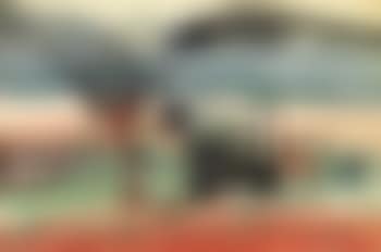 Cattle (preview)