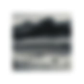 Oie Sauvage (preview)