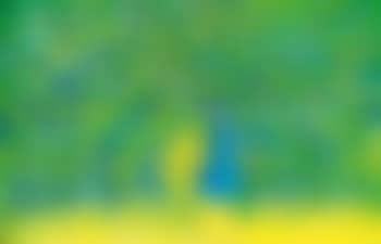 Peacock (preview)