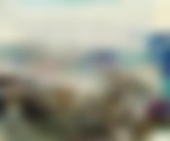 25.11.71 (preview)