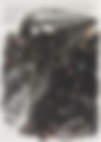 Untitled (It's all virgin soil) (preview)