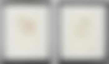 Two works: Untitled (Life Flower II); Untitled (Life Flower V) (preview)