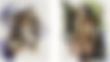 Two works: Untitled (preview)