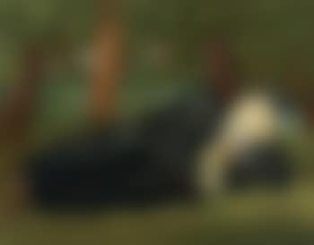 El Poeta (preview)