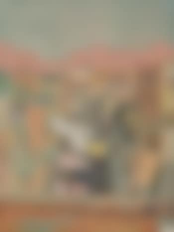 View From 500 East Eleventh Street (preview)