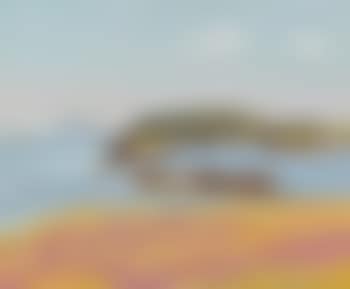 Bear Island With Attendant Clouds (preview)