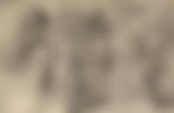 Milo The Mule Face Boy (preview)