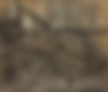 Desnudo (preview)