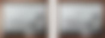 Travis Parker and Chilean Flamingo, 90028 (preview)