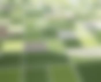 Along the Banks of Rivers (preview)