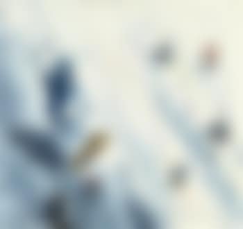 Untitled (preview)