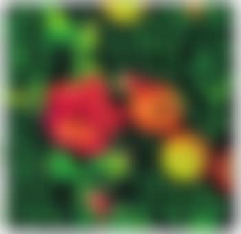 Mele rosse e rosa (preview)