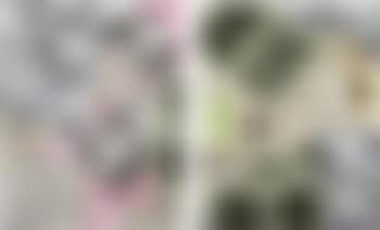 Two Works: i) Untitled, SMJ.0005; ii) Untitled, SMJ.0003 (preview)