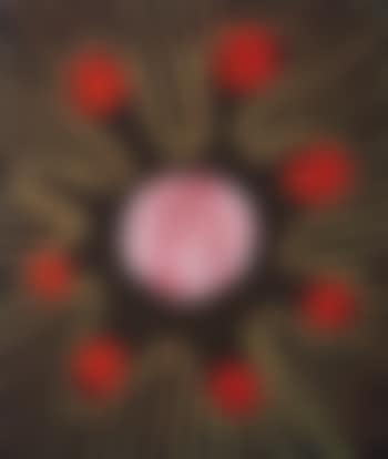 Seven Petal Flower (preview)