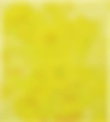 Yellow Jonquils IV (preview)