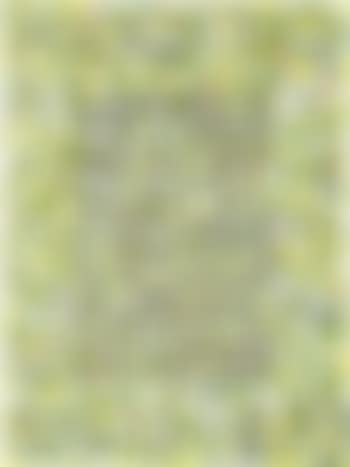Untitled Joke Painting (preview)