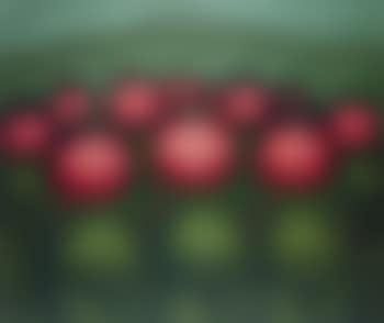 Troops from the series Laborer (preview)