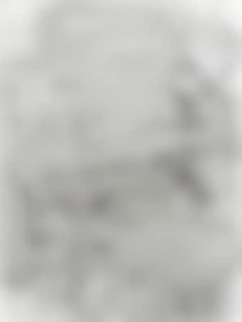 Untitled (P522) (preview)