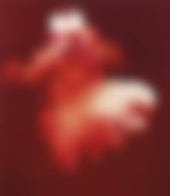 Untitled No. 15 (preview)