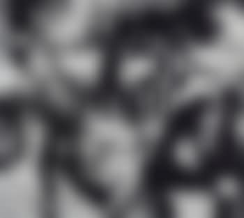 Race Riot, after Andy Warhol from Pictures of Ink (preview)