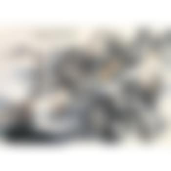 Strange Pines Of Mount Huang (preview)