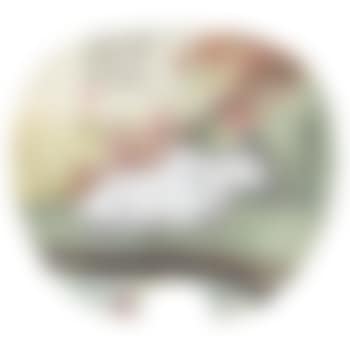 Indian Bull (preview)