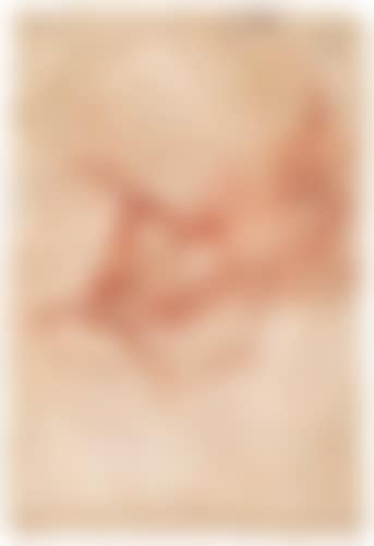Head Of a Bearded Man Turned To The Left (preview)
