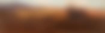 Drover with mule and sheep in an extensive landscape (preview)