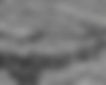 Colorado River Landscape (preview)