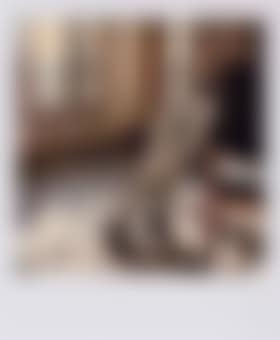 Legs, Hotel Balmoral, Monte Carlo (preview)