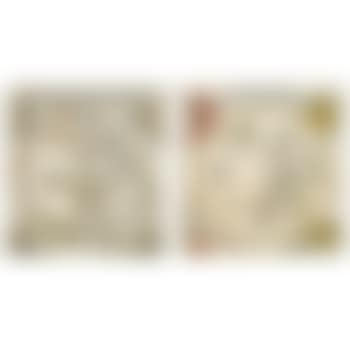 Map Of The Northern Sky; And Map Of The Southern Sky (B. 151, 152; M., Holl. 260, 259) (preview)
