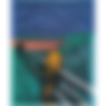The Scream (After Munch) (Cf. F. & S. Iiia.58) (preview)