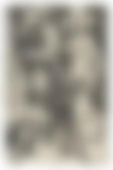 The Dream of the Doctor (B. 76; M., Holl. 70; S.M.S. 18) (preview)