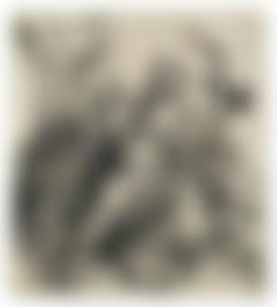 The Ravisher (B. 92; Meder, Holl. 76; Schoch, Mende, Scherbaum 1) (preview)