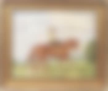 Woman on horseback (preview)